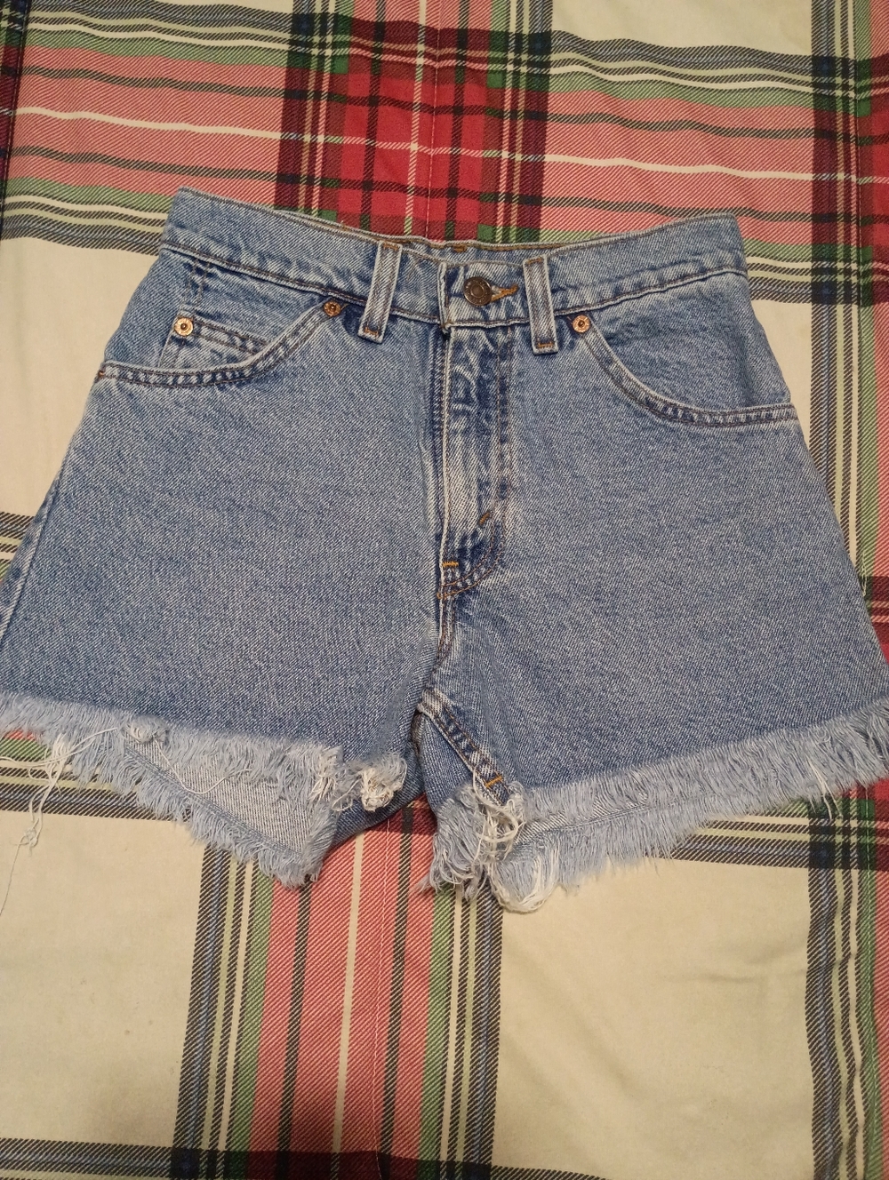 Levi's Light Blue Frayed Jean Shorts